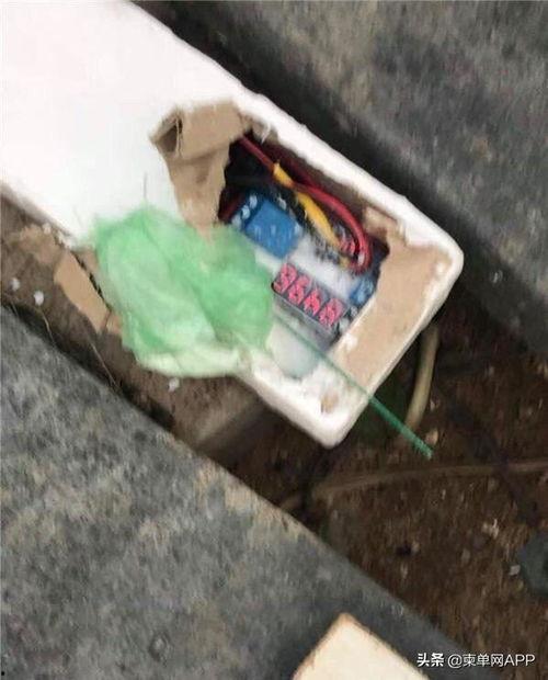 柬埔寨赌场爆料视频最新,揭秘奢华背后的黑暗面  第2张