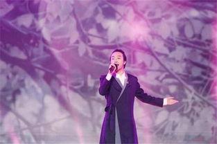 李玉刚爆料秘密视频播放,神秘视频背后的惊人真相